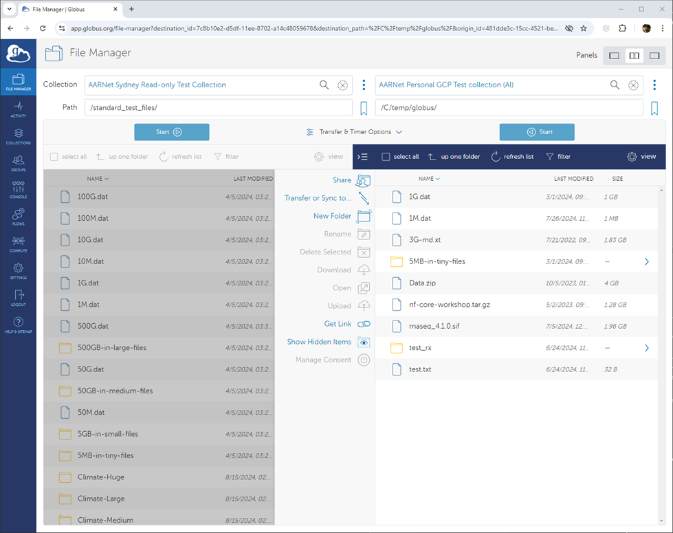 Globus File Manager Two Panes